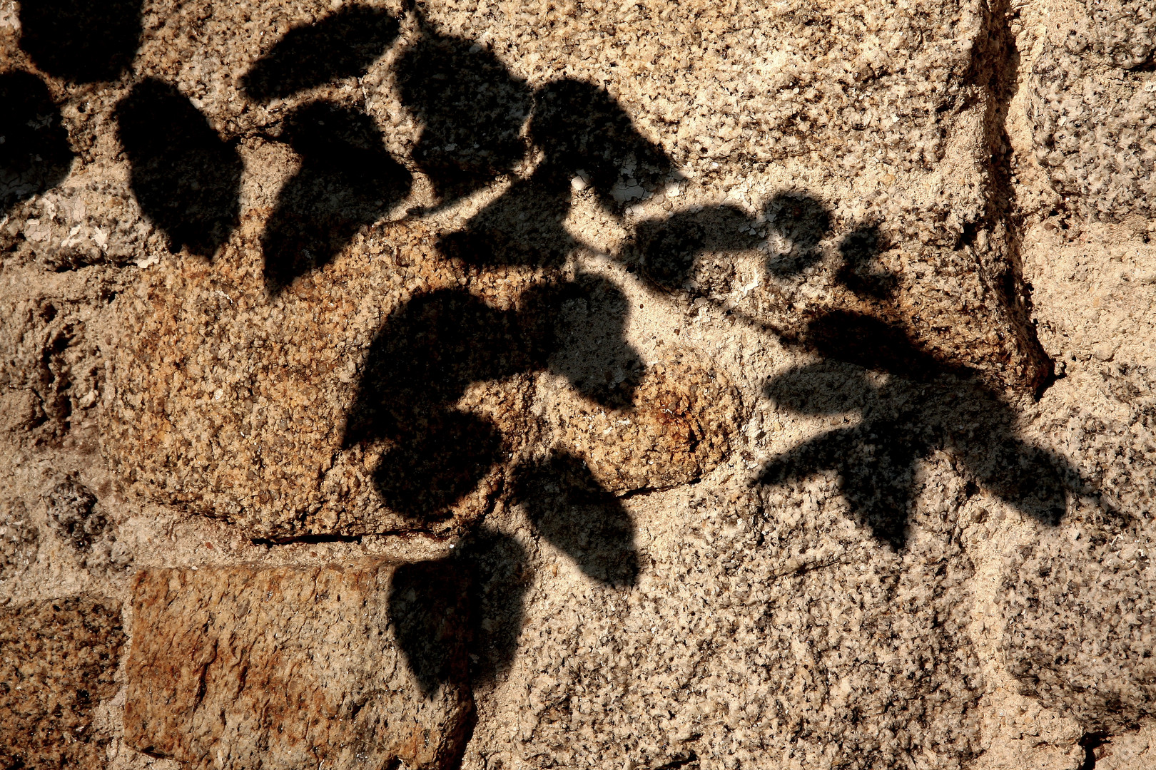 schatten an der wand