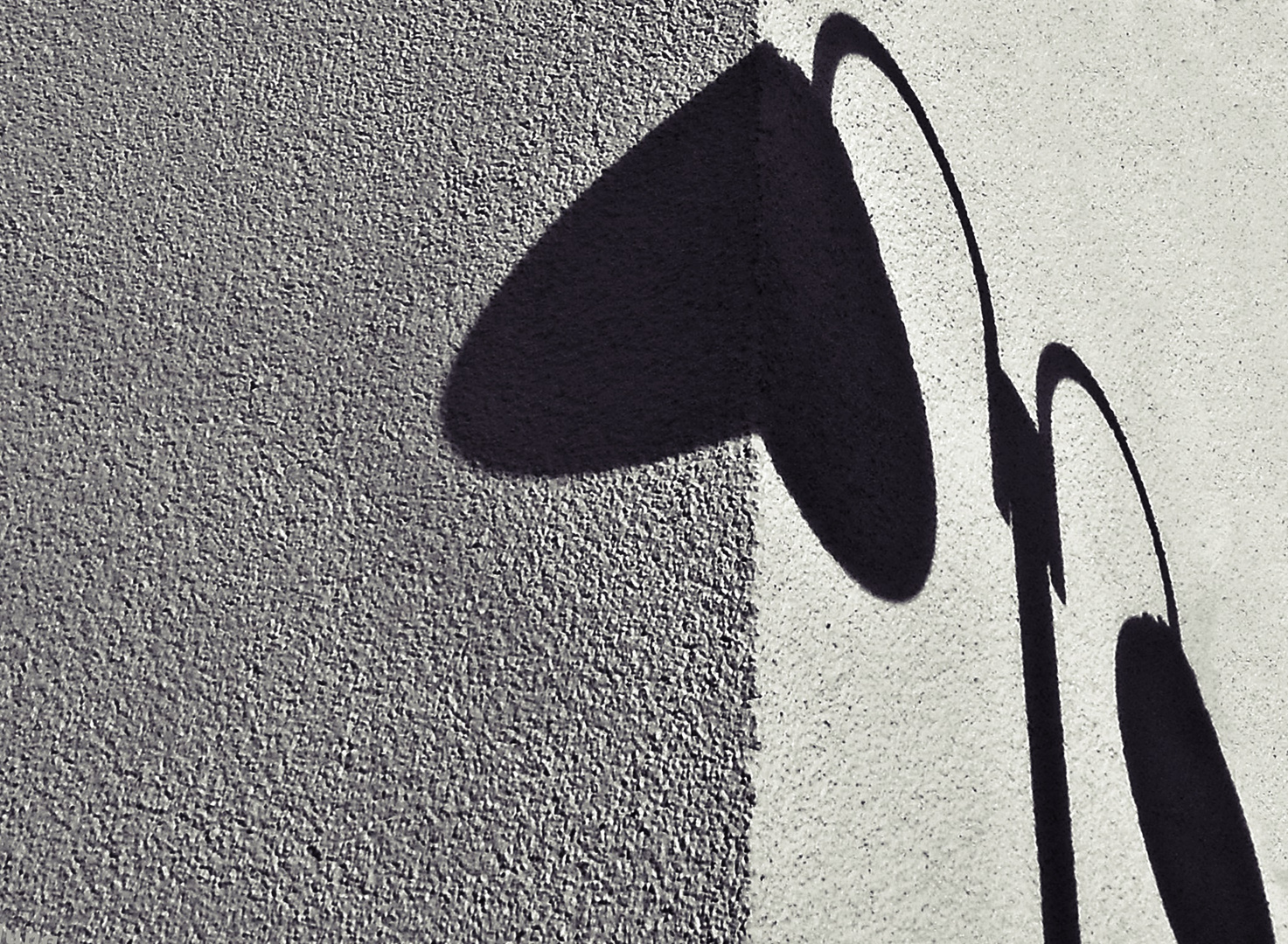 Schatten an der Wand 