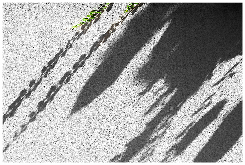 Schatten an der Wand