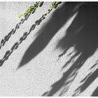 Schatten an der Wand