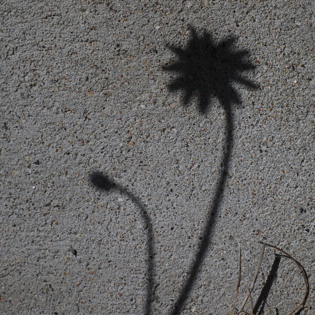 Schatten an der Wand