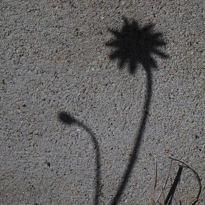 Schatten an der Wand