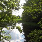 Schatten an meinem Lernschwimmteich