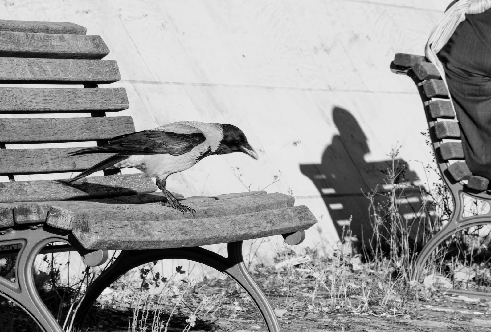 Schatten auf Asphalt