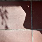 Schatten auf dem Balkon ...