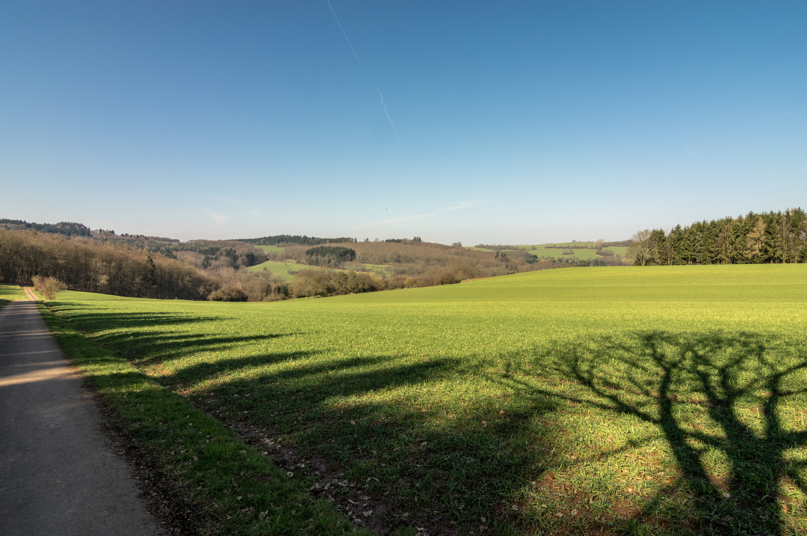 Schatten auf dem Flur