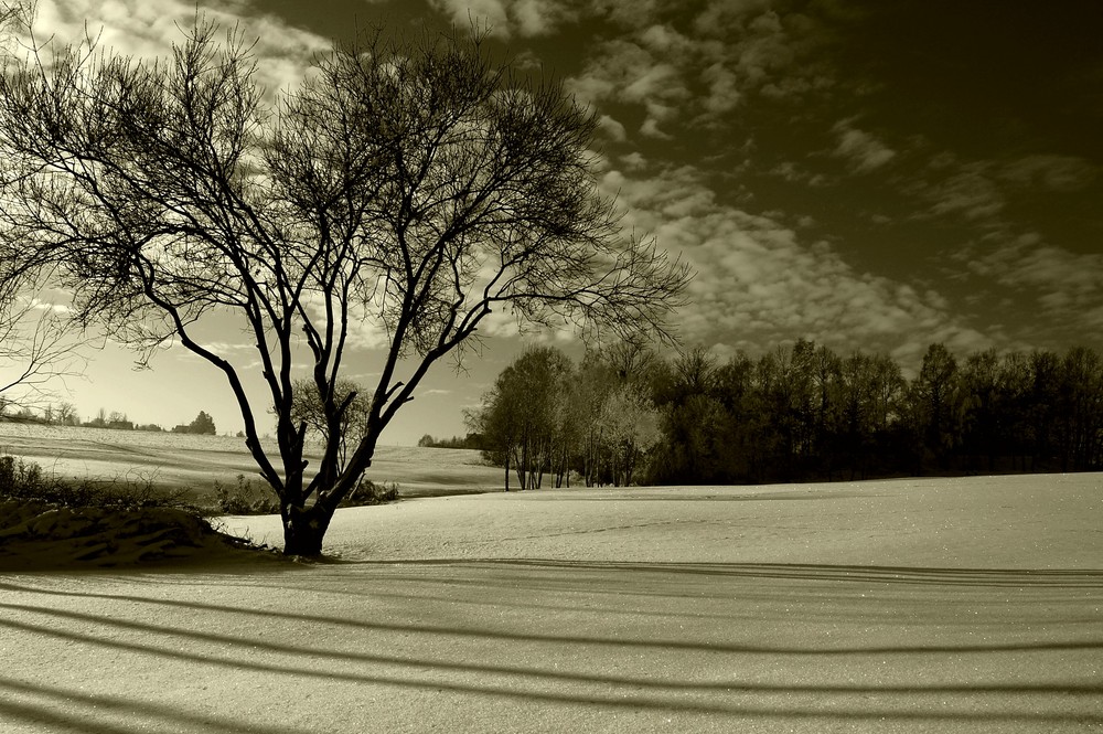 Schatten auf dem Schnee