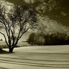 Schatten auf dem Schnee