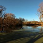 Schatten auf dem Teich