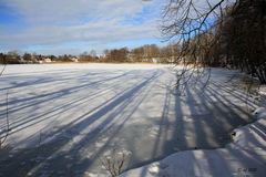 Schatten auf dem Teich