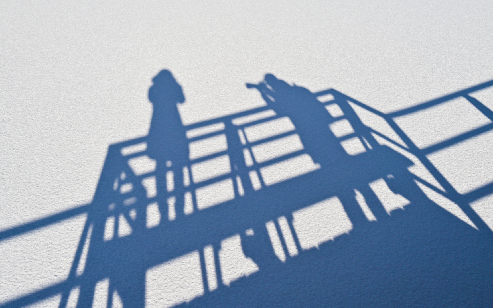 Schatten auf dem verschneiten Federsee