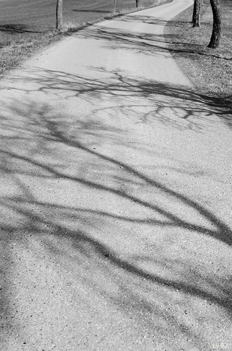 Schatten auf dem Weg