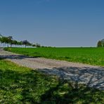 schatten auf den weg