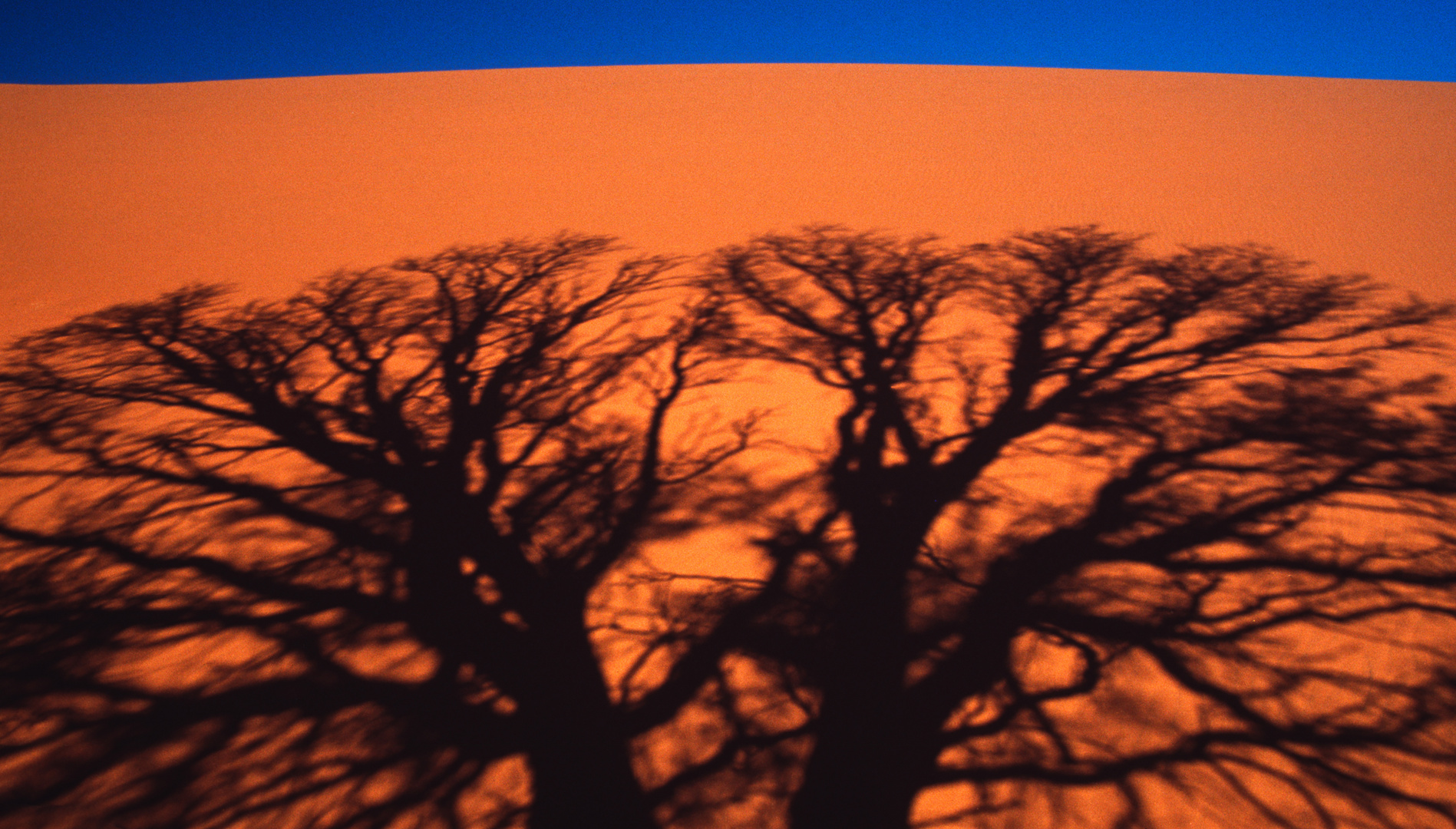 Schatten auf der Düne