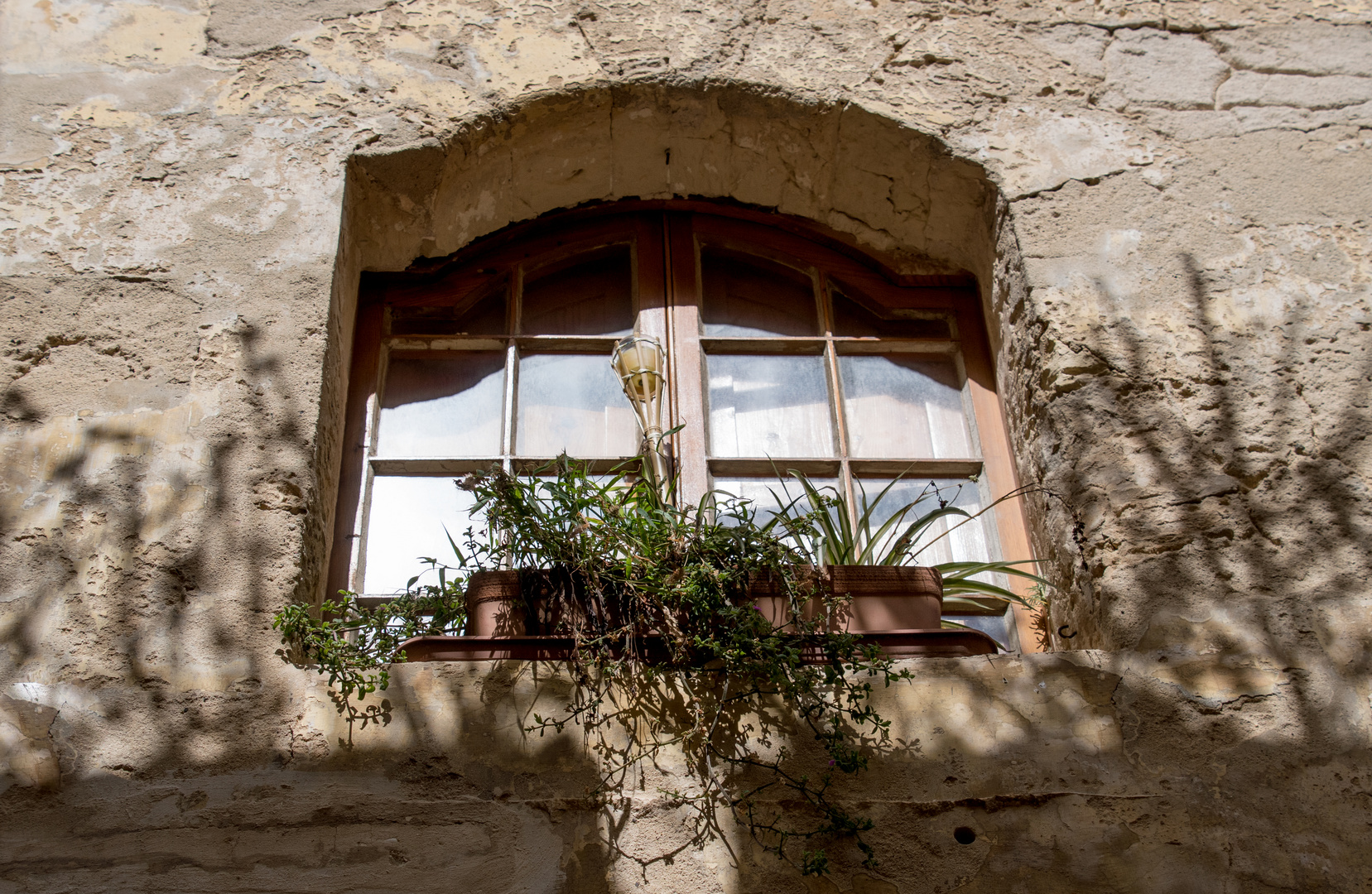 SCHATTEN AUF DER WAND