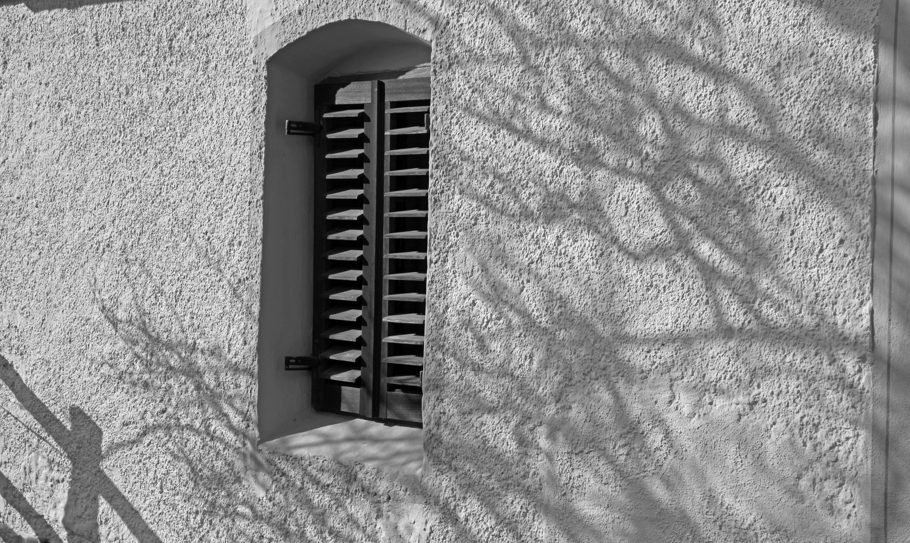 Schatten auf der Wand 