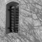 Schatten auf der Wand 