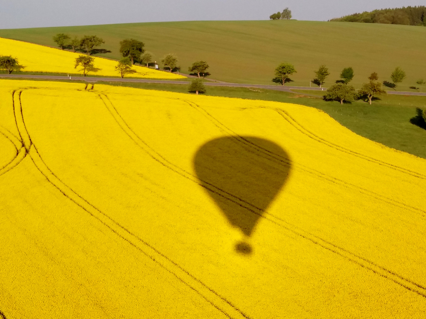 Schatten auf gelben Grund