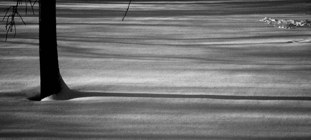 ¿Schatten auf Schnee überbacken mit Baum in Schwarz&Weis