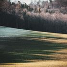 Schatten Ausläufer