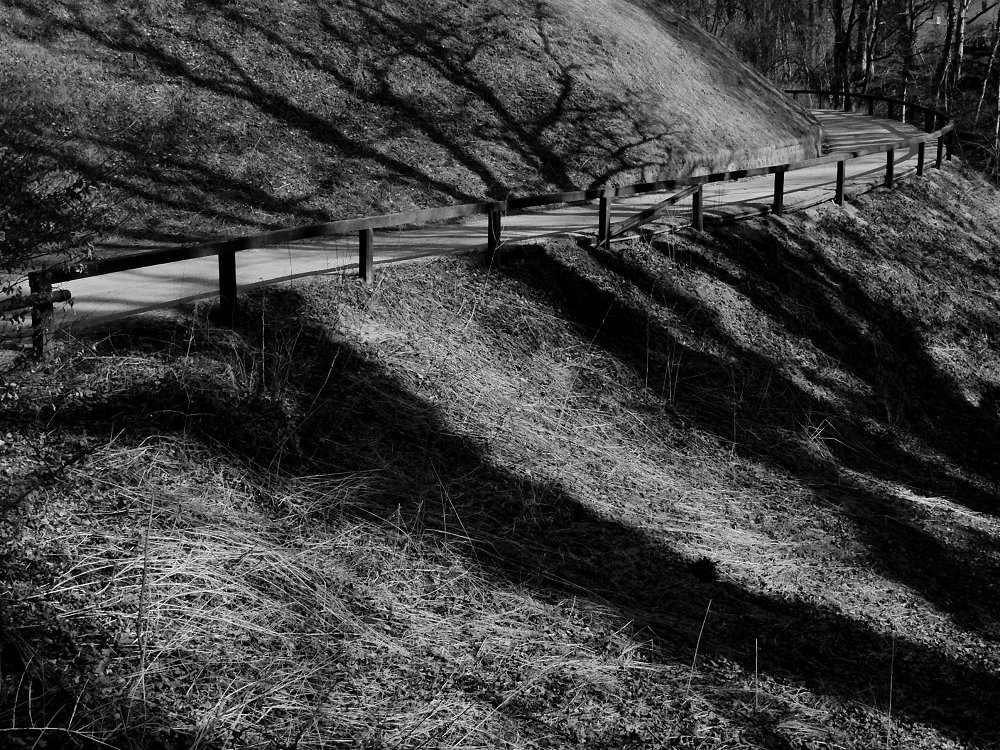 Schatten brauchen Platz