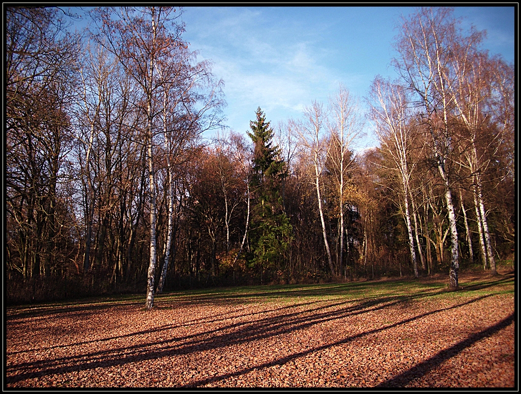 Schatten