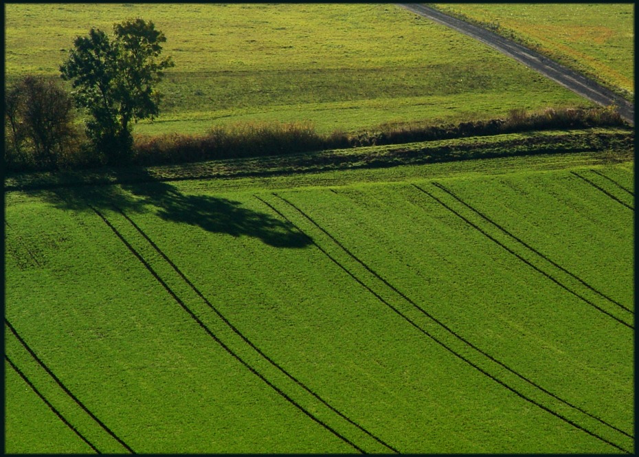 . . . Schatten