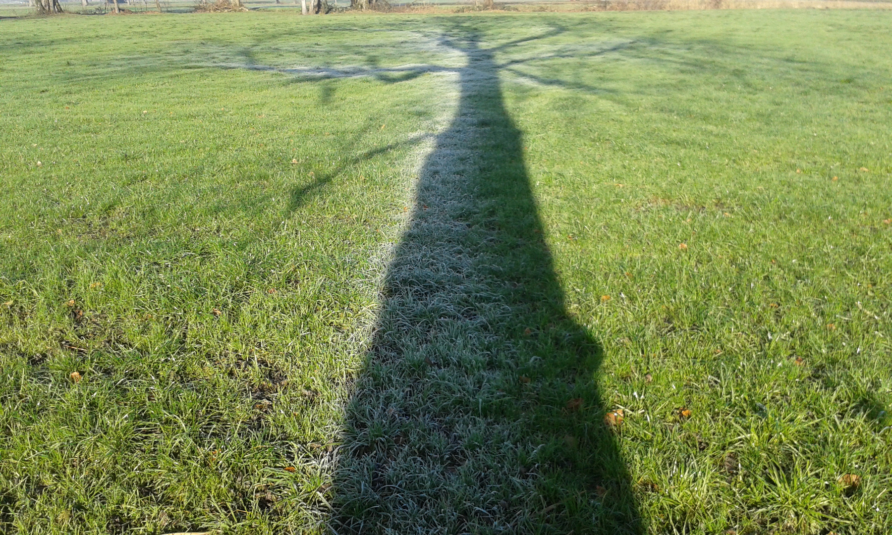 Schatten