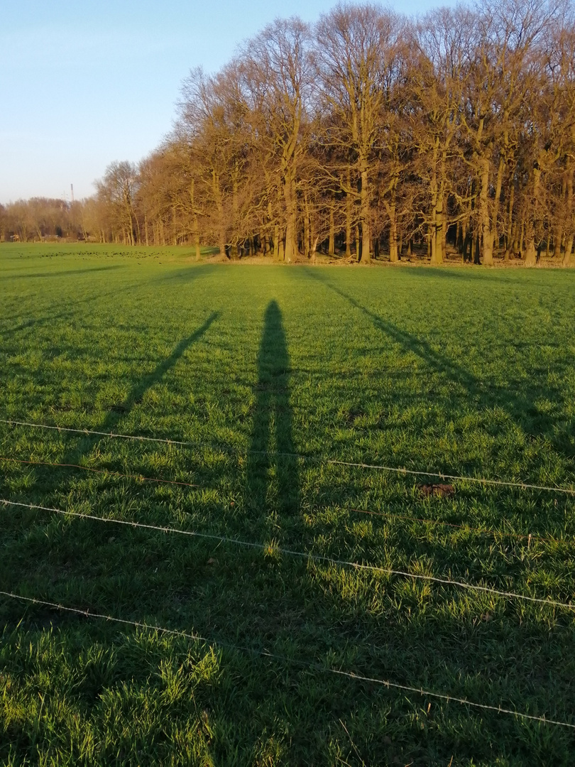 Schatten 