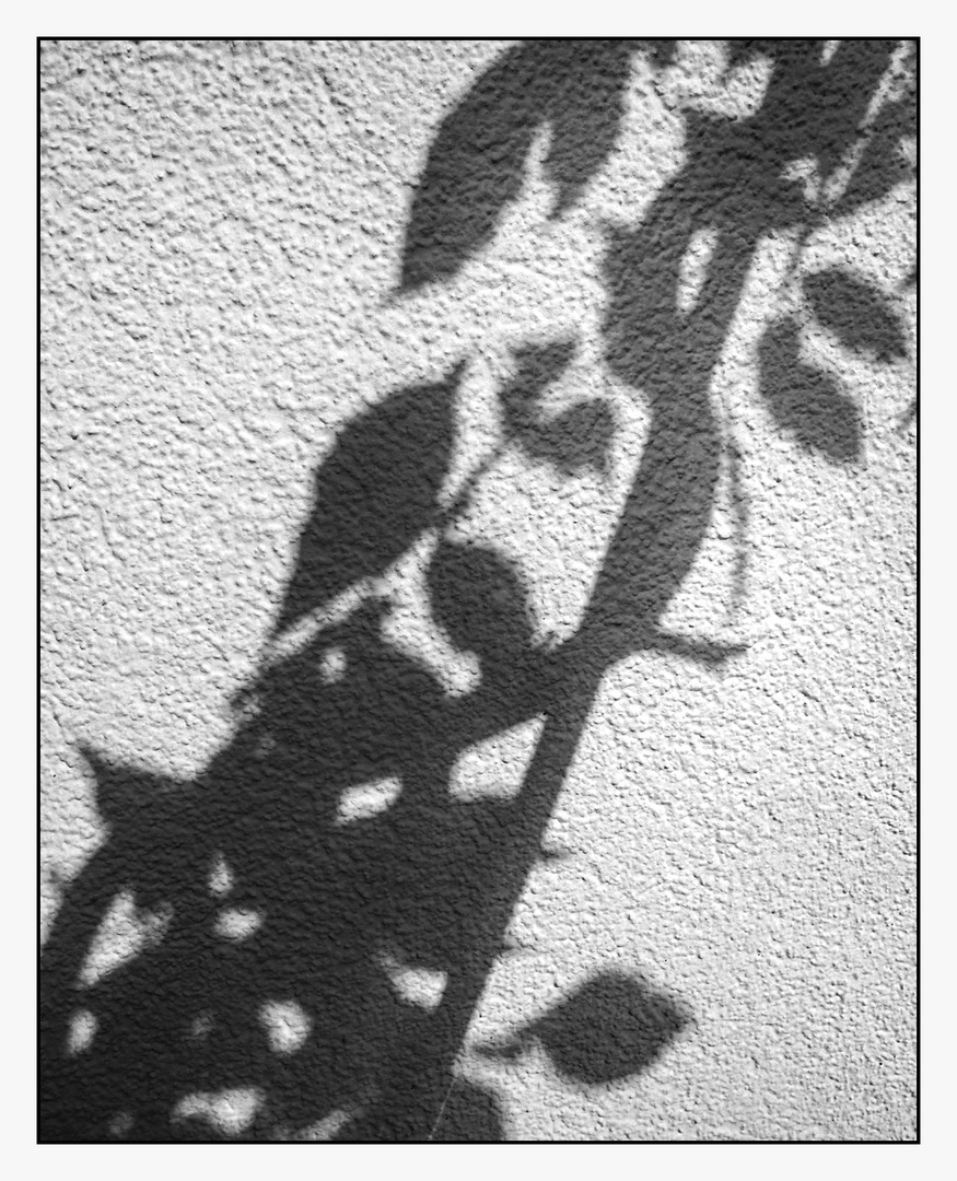 Schatten daheim