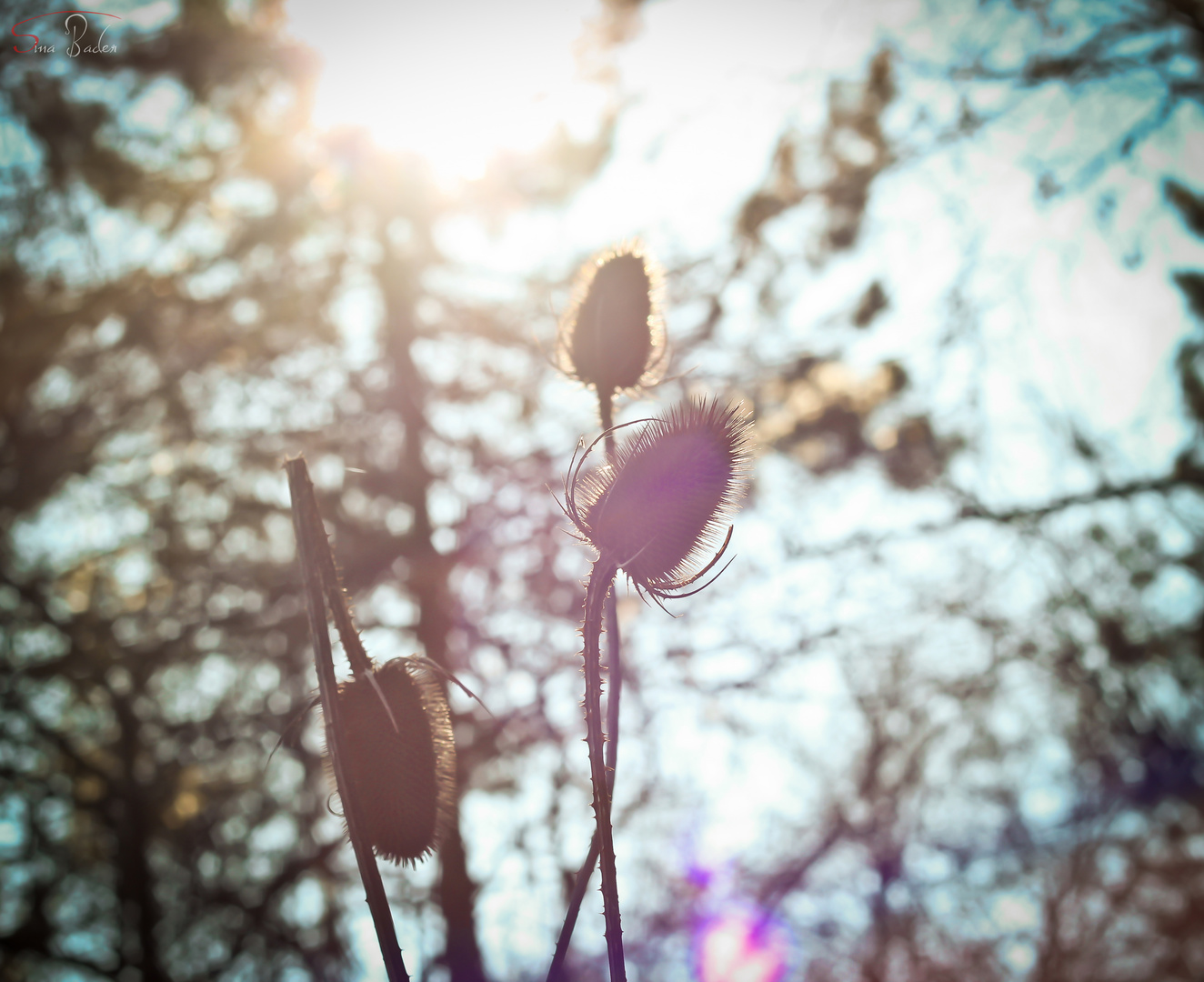 Schatten der Abendsonne