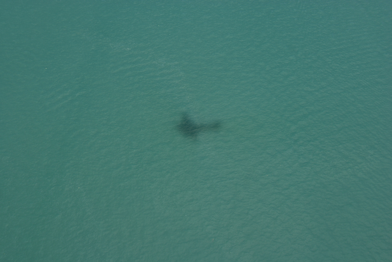 Schatten der JU52 im Lago Maggiore