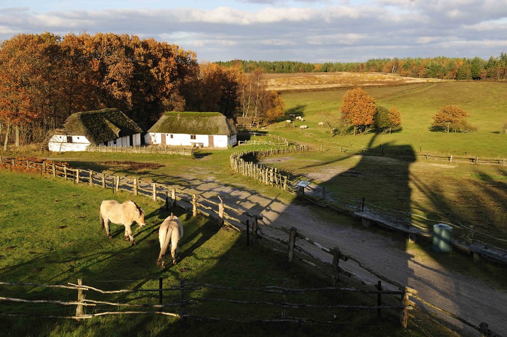 Schatten der Windmühle in Hjerl Hede