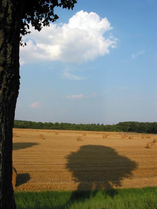 Schatten des Lebens; Doch die Sonne scheint trotzdem!!!