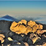 Schatten des Teide