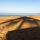 Schatten einer Palme am Strand