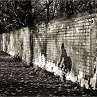 Schatten eines Radfahrers