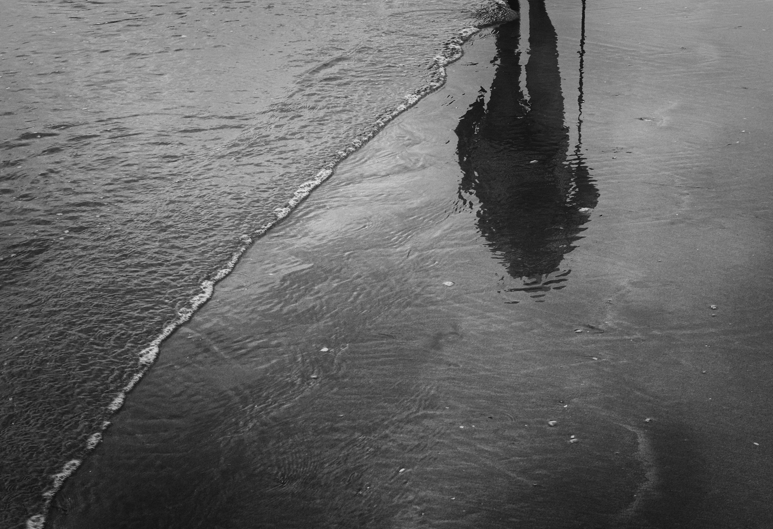 Schatten eines Strandläufers