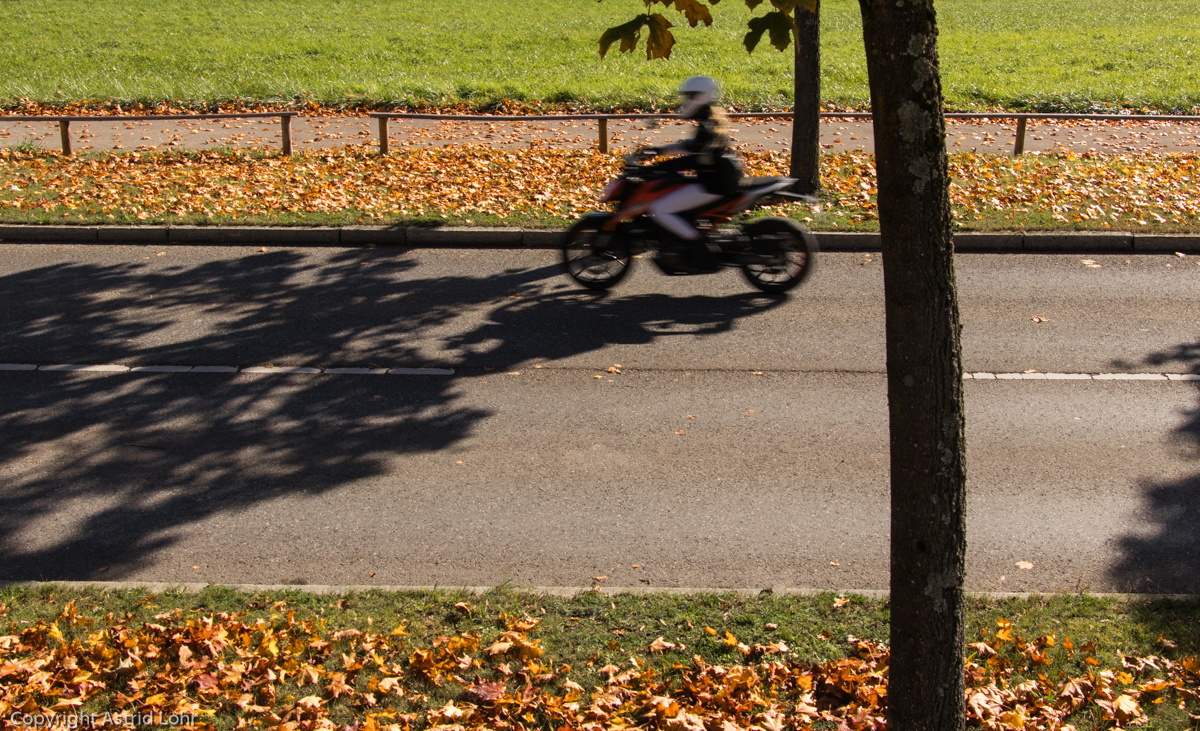 Schatten. | Fangen. | 1