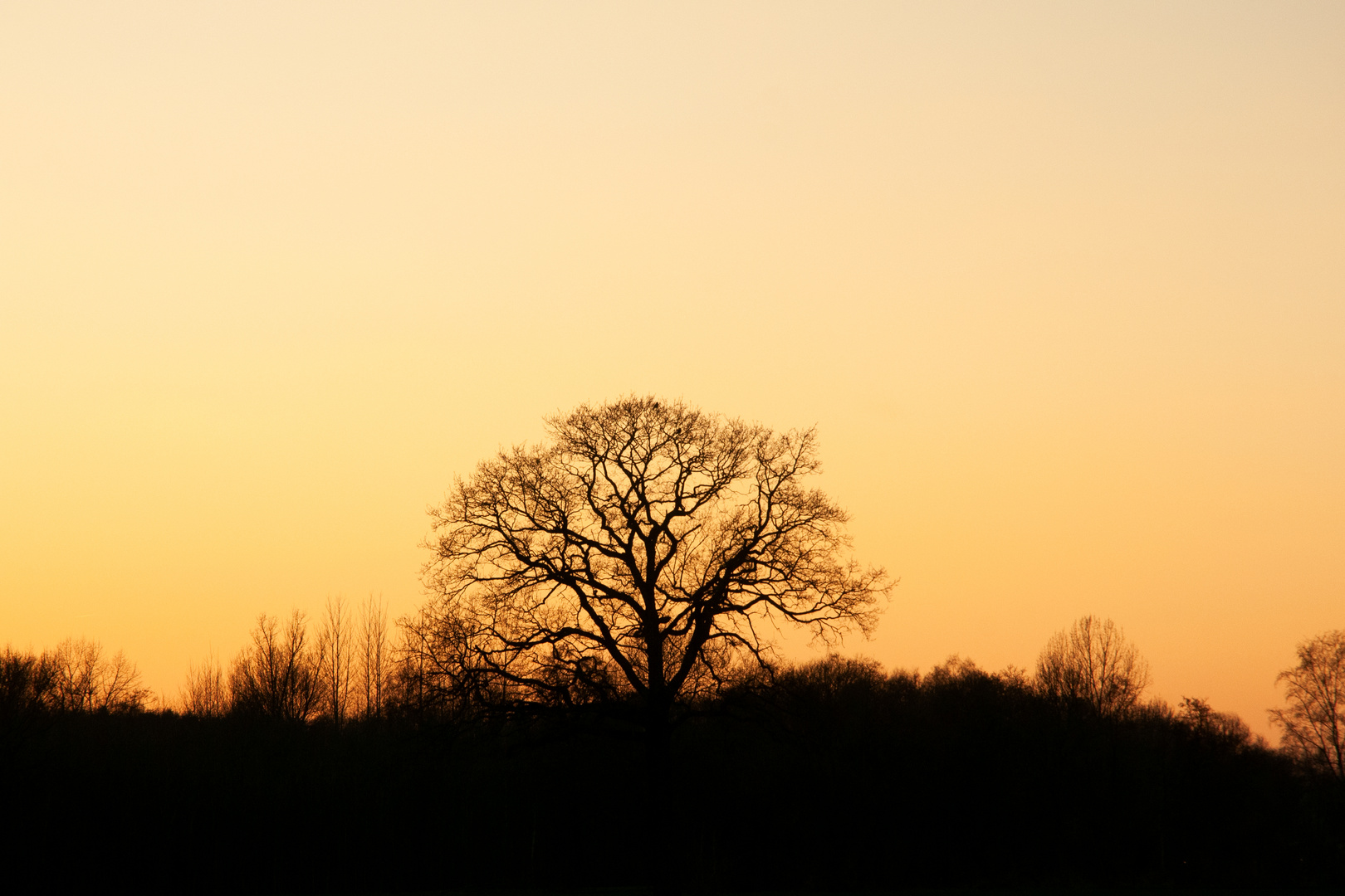 SCHATTEN