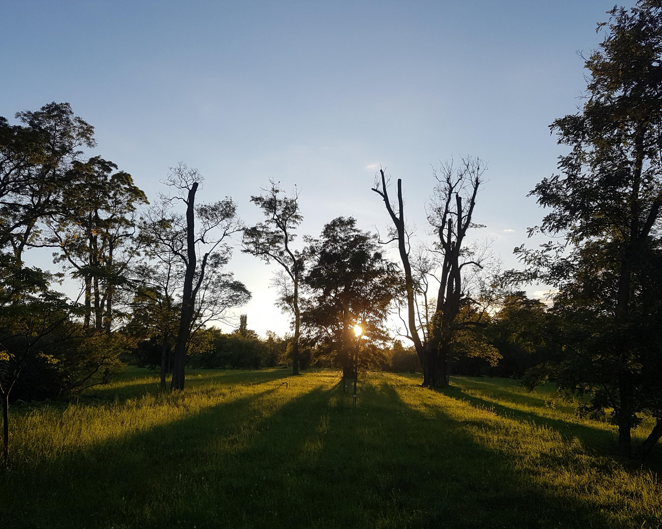 Schatten fressen die Abendsonne