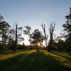 Schatten fressen die Abendsonne