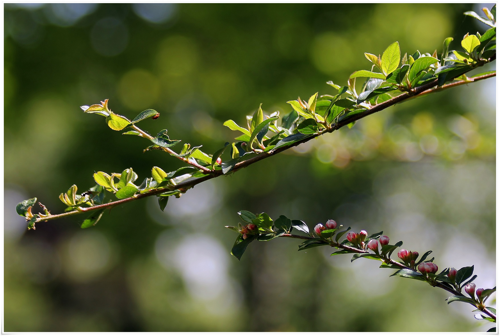 Schatten gesucht