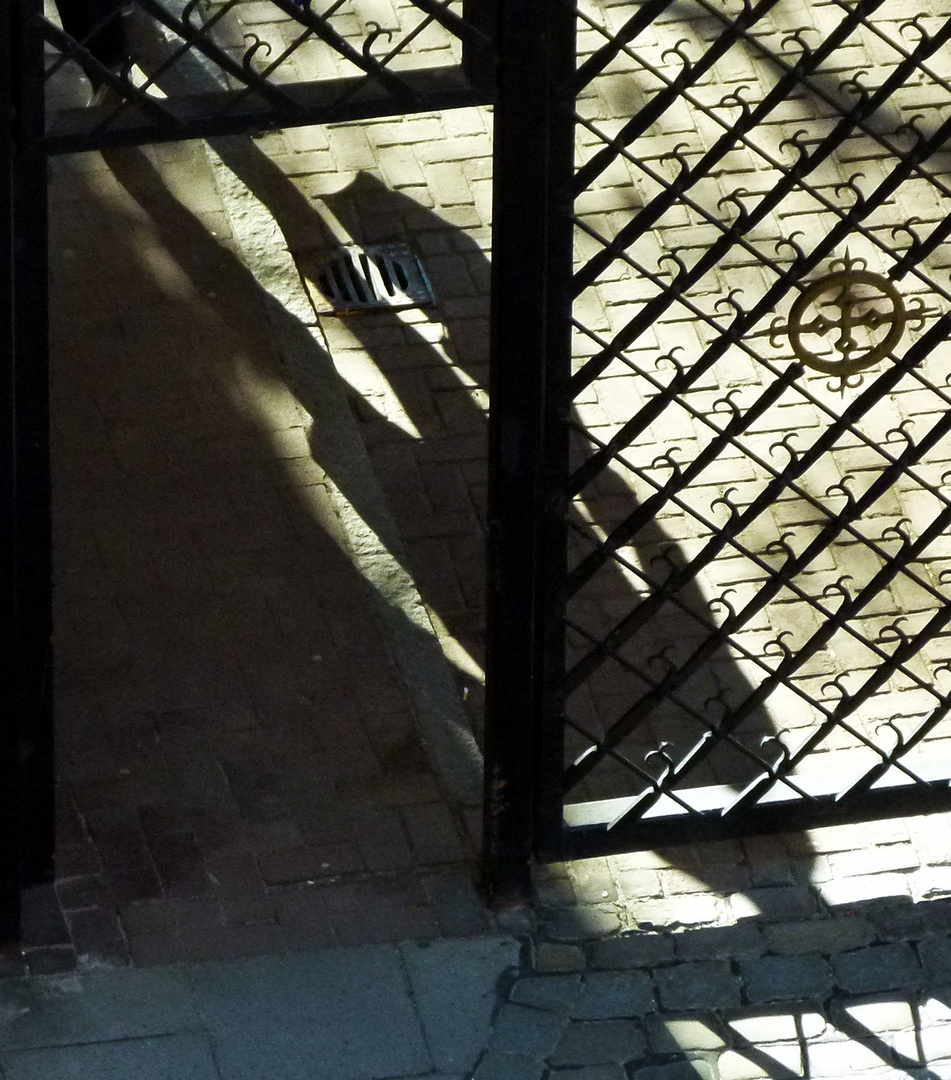 Schatten hinter Gittern