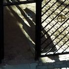 Schatten hinter Gittern