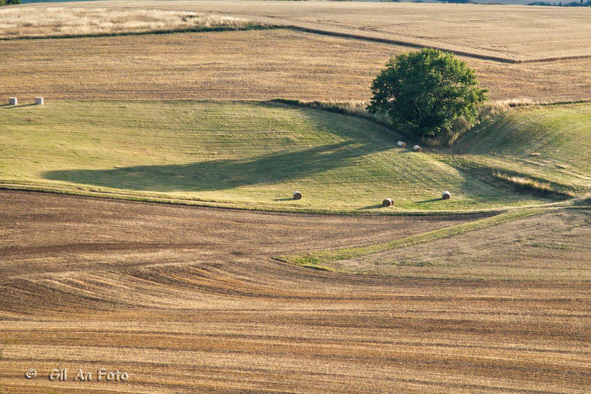 Schatten im Abendlicht