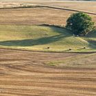 Schatten im Abendlicht