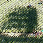 Schatten im alten Stadtion