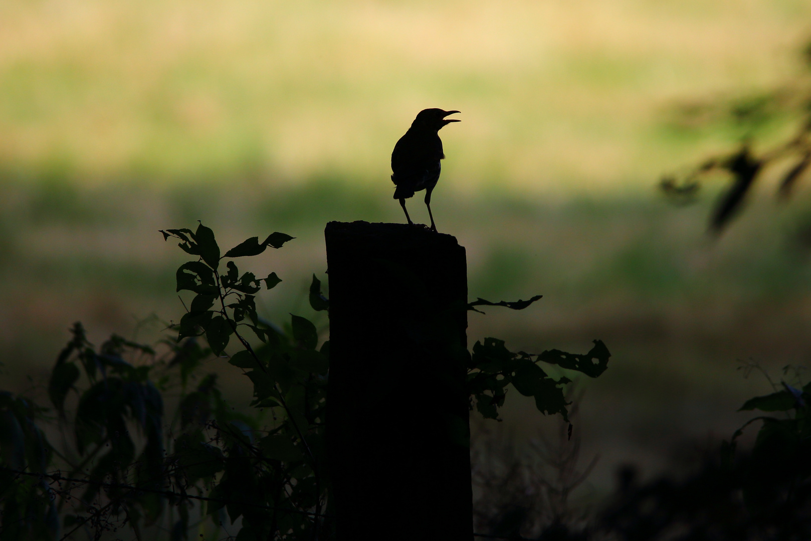 Schatten im Bild