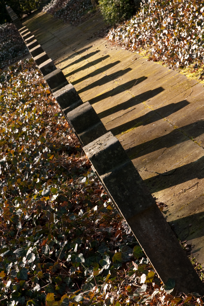 Schatten im Blick...für uns...